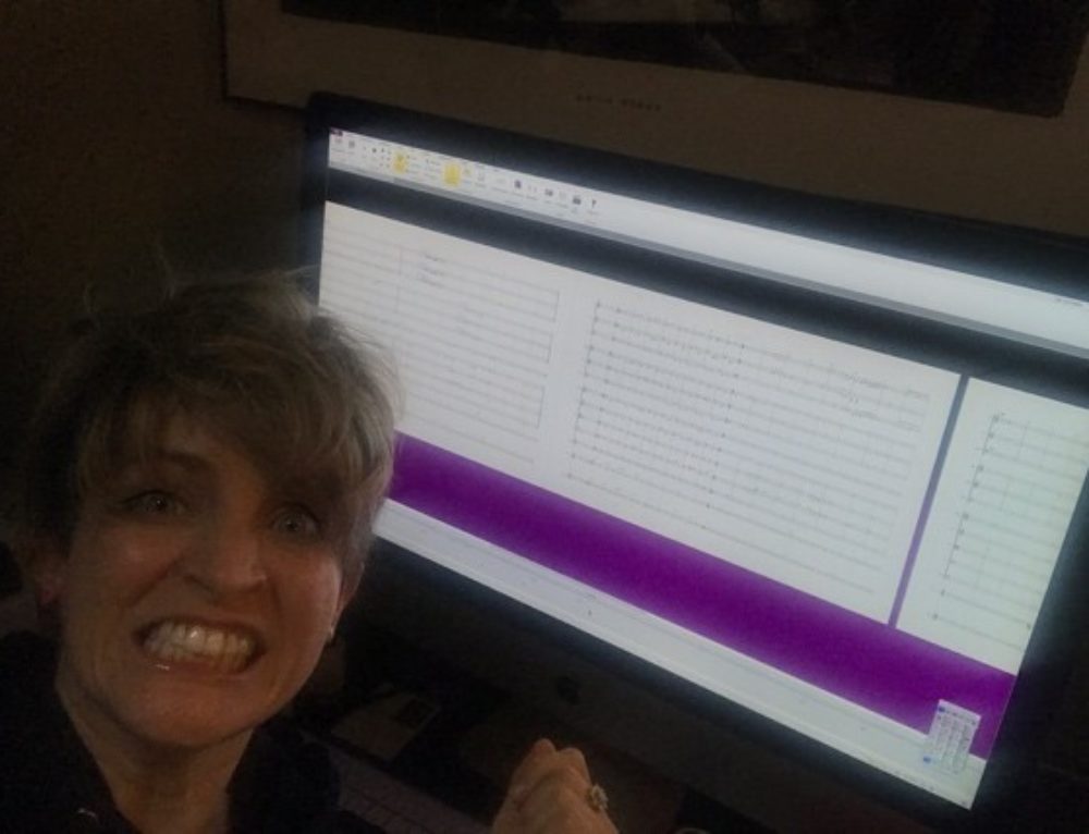 TOO MANY EMAILS Barbra Lica Music